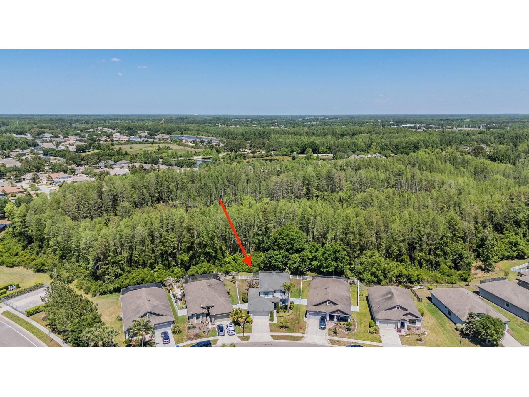 19545 Post Island Loop Land O Lakes FL 34638 TB8496352 image42