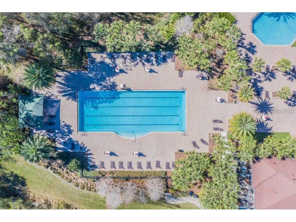 19545 Post Island Loop Land O Lakes FL 34638 TB8496352 image67