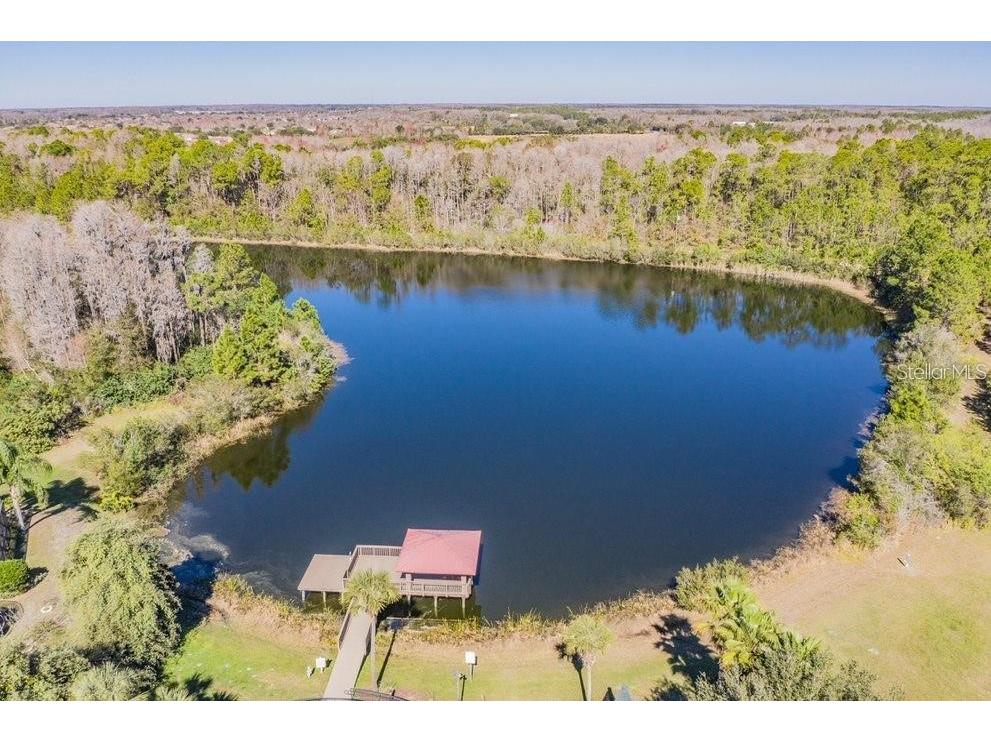 19545 Post Island Loop Land O Lakes FL 34638 TB8496352 image70
