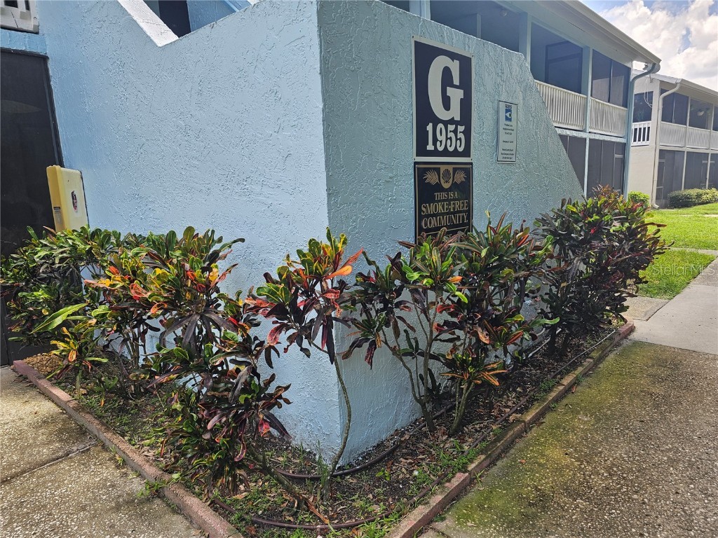 1955 Abrico Drive #16 Lutz FL 33558 T3544175 image1