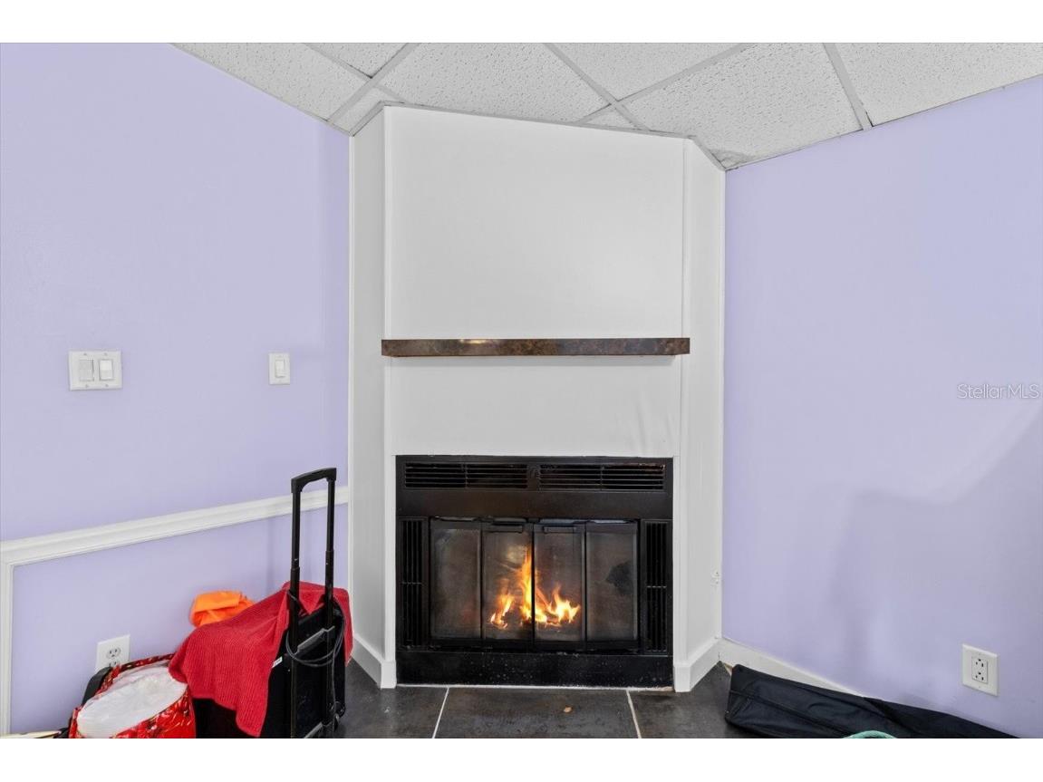 1955 Cr 439c Lake Panasoffkee FL 33538 TB8417625 image17