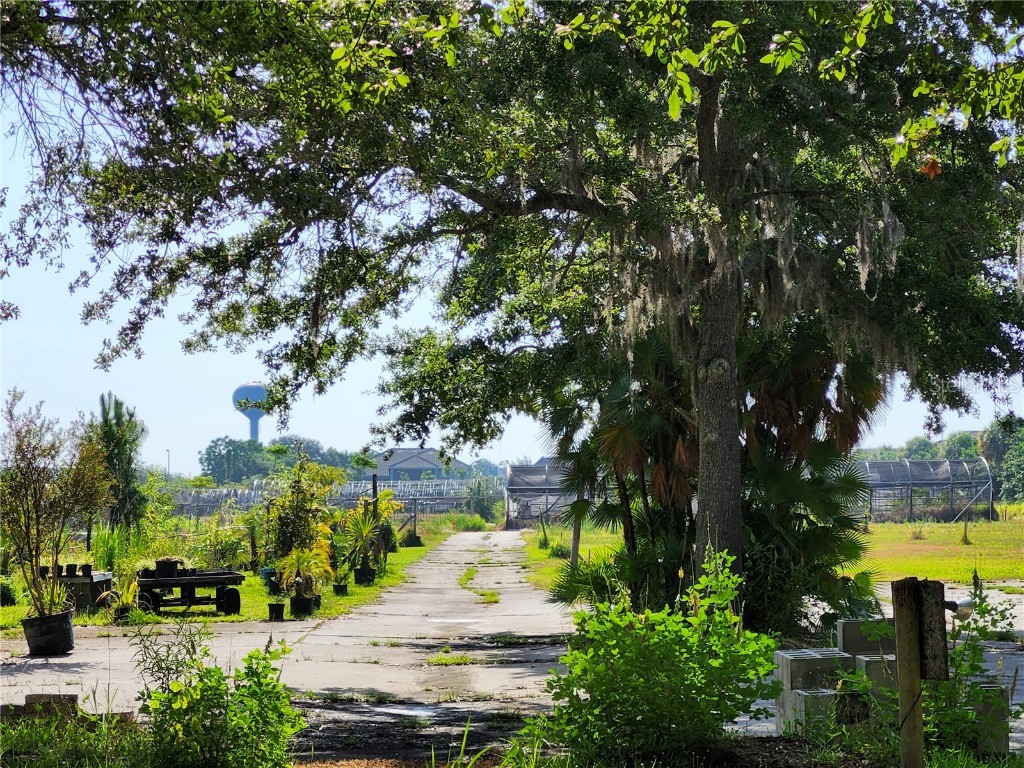 1955 S Apopka Vineland Road Orlando FL 32835 O6211968 image5