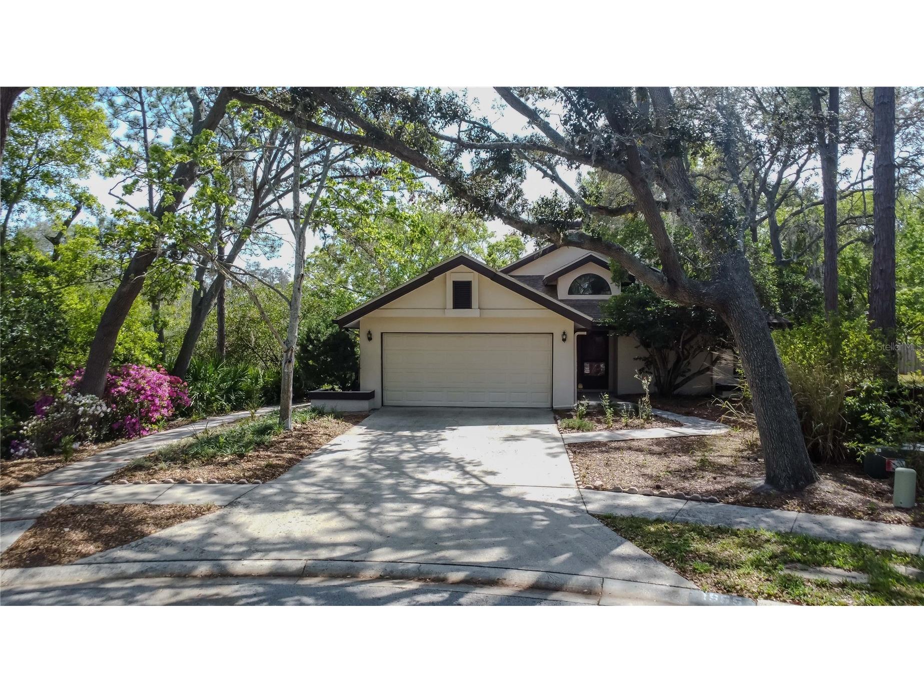 1955 Sandalwood Place Clearwater FL 33760 TB8487407 image1