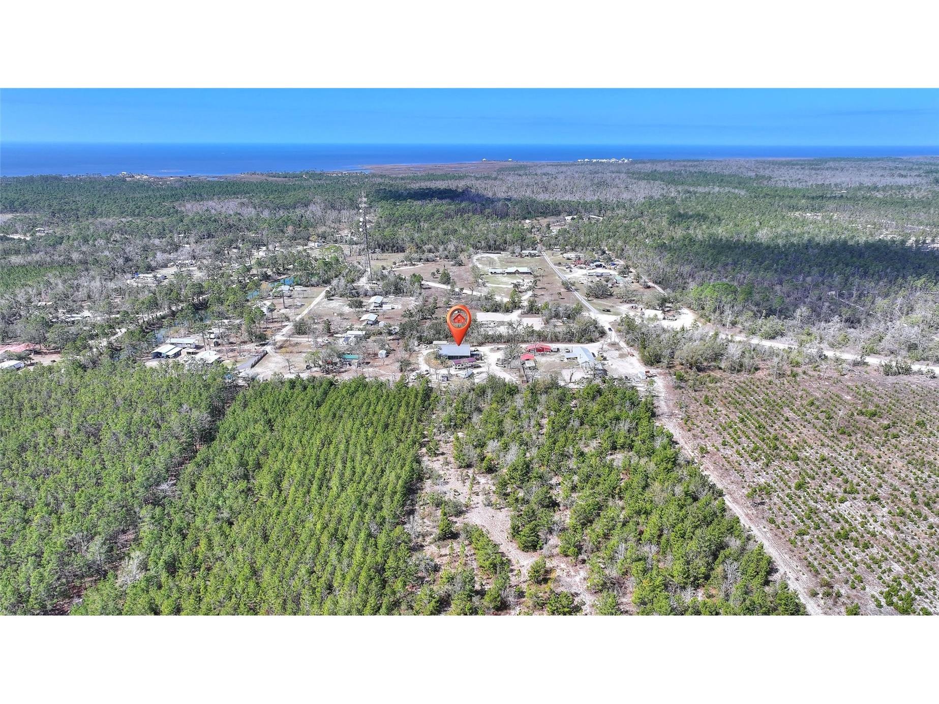 19550 Jody Morgan Road S Perry FL 32348 L4959838 image25