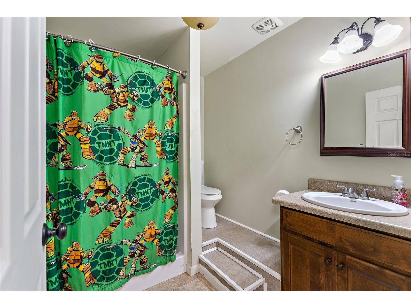 19550 Jody Morgan Road S Perry FL 32348 L4959838 image65