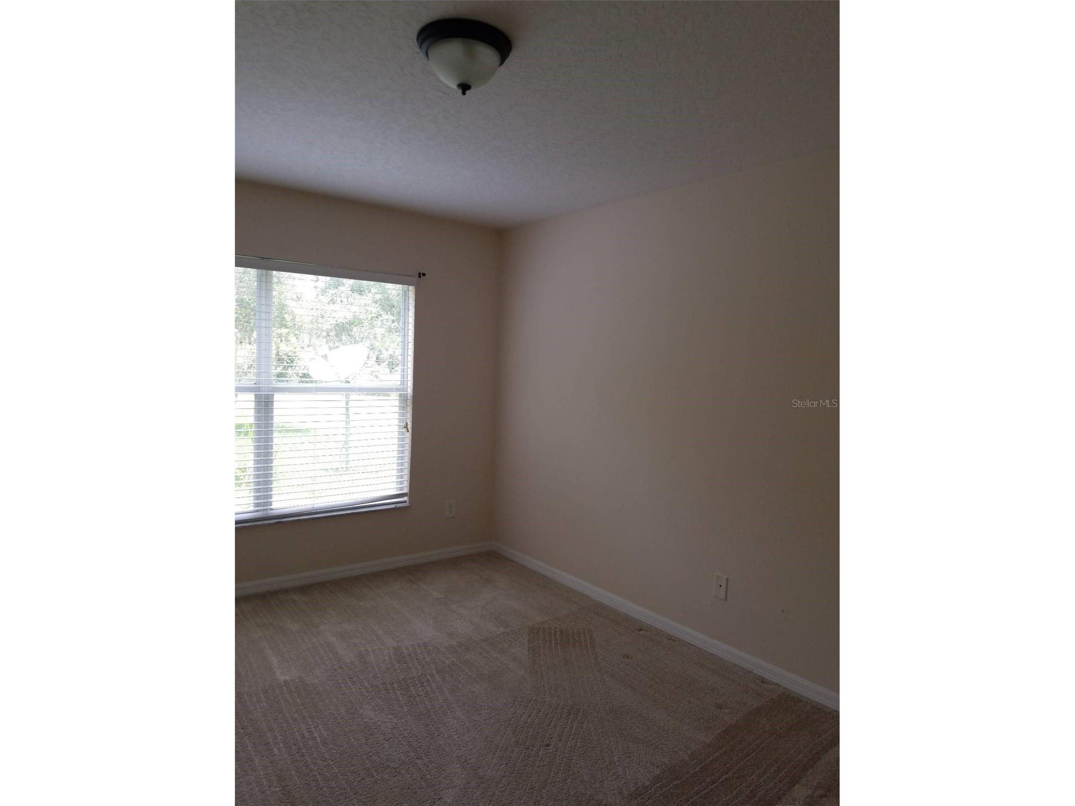 19551 Glen Elm Way Orlando FL 32833 O6424550 image6
