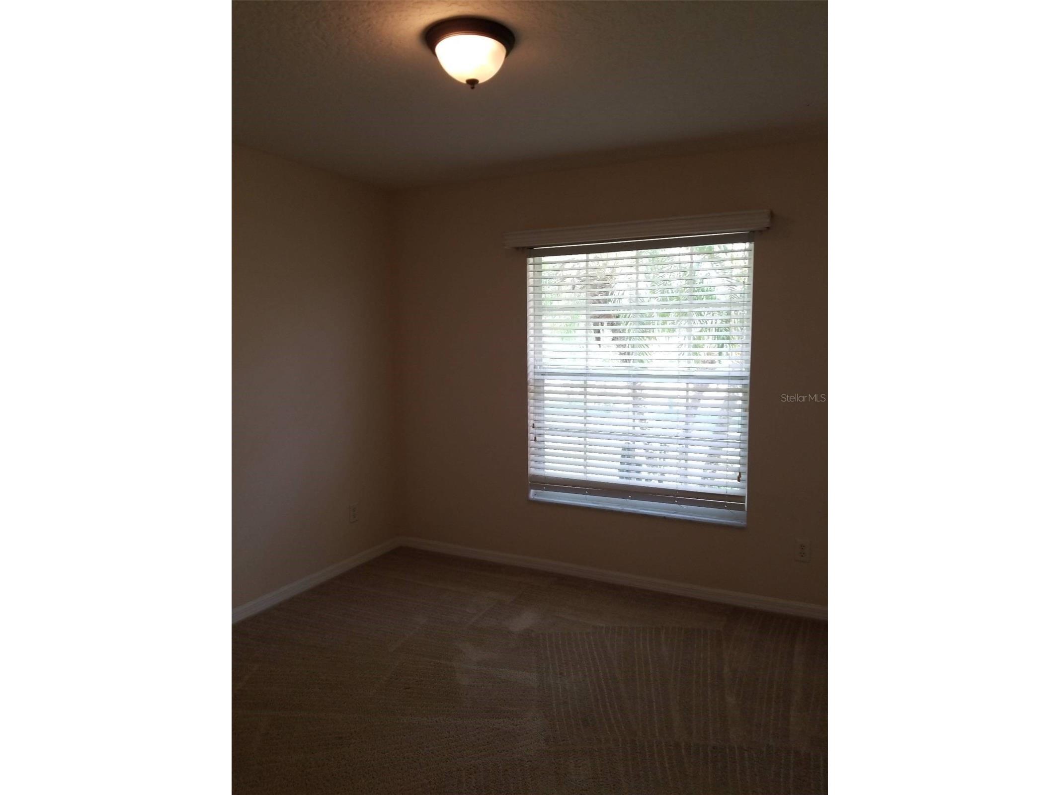 19551 Glen Elm Way Orlando FL 32833 O6424550 image9