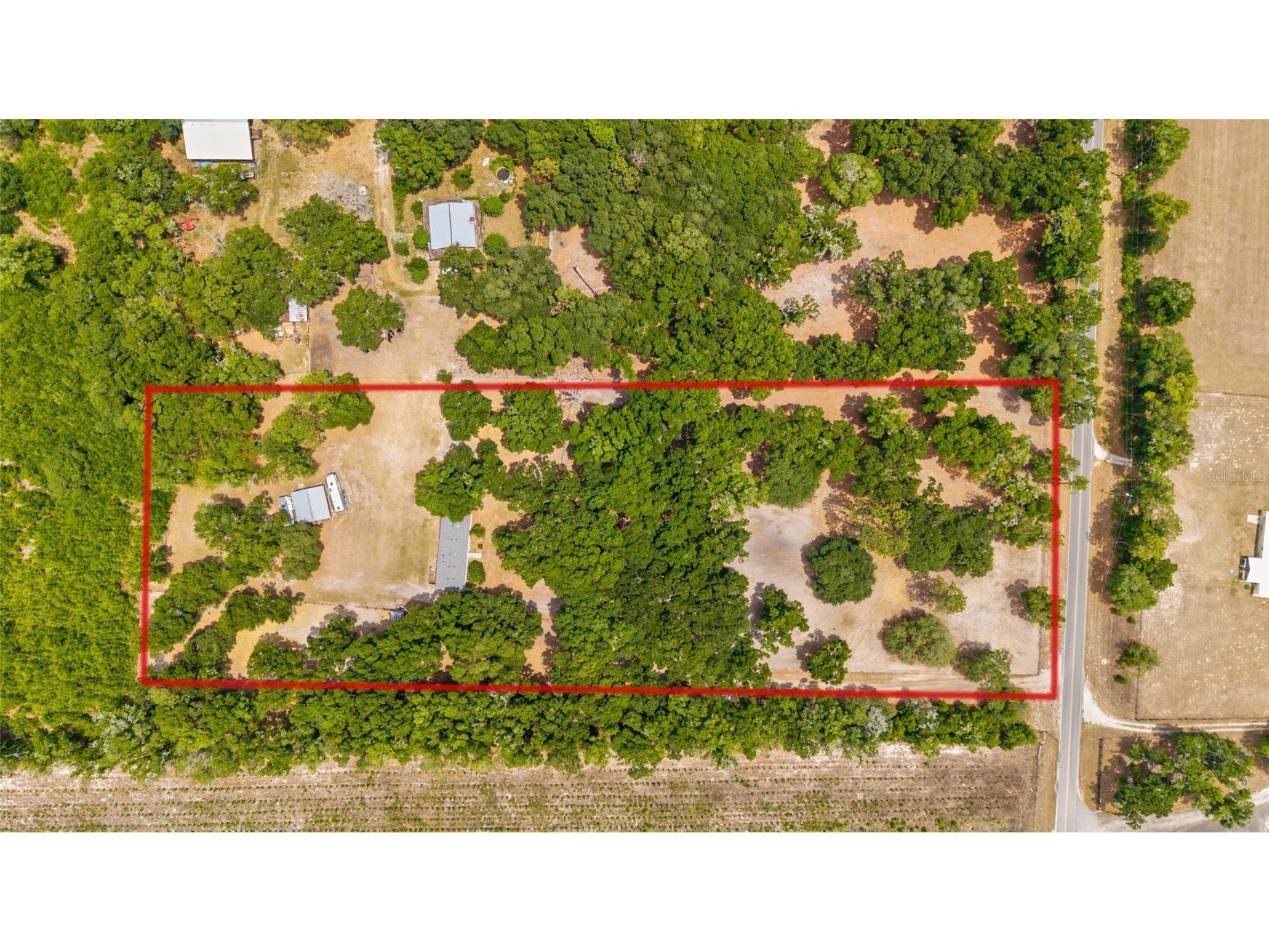 19551 SE 42nd Place Morriston FL 32668 OM724189 image1