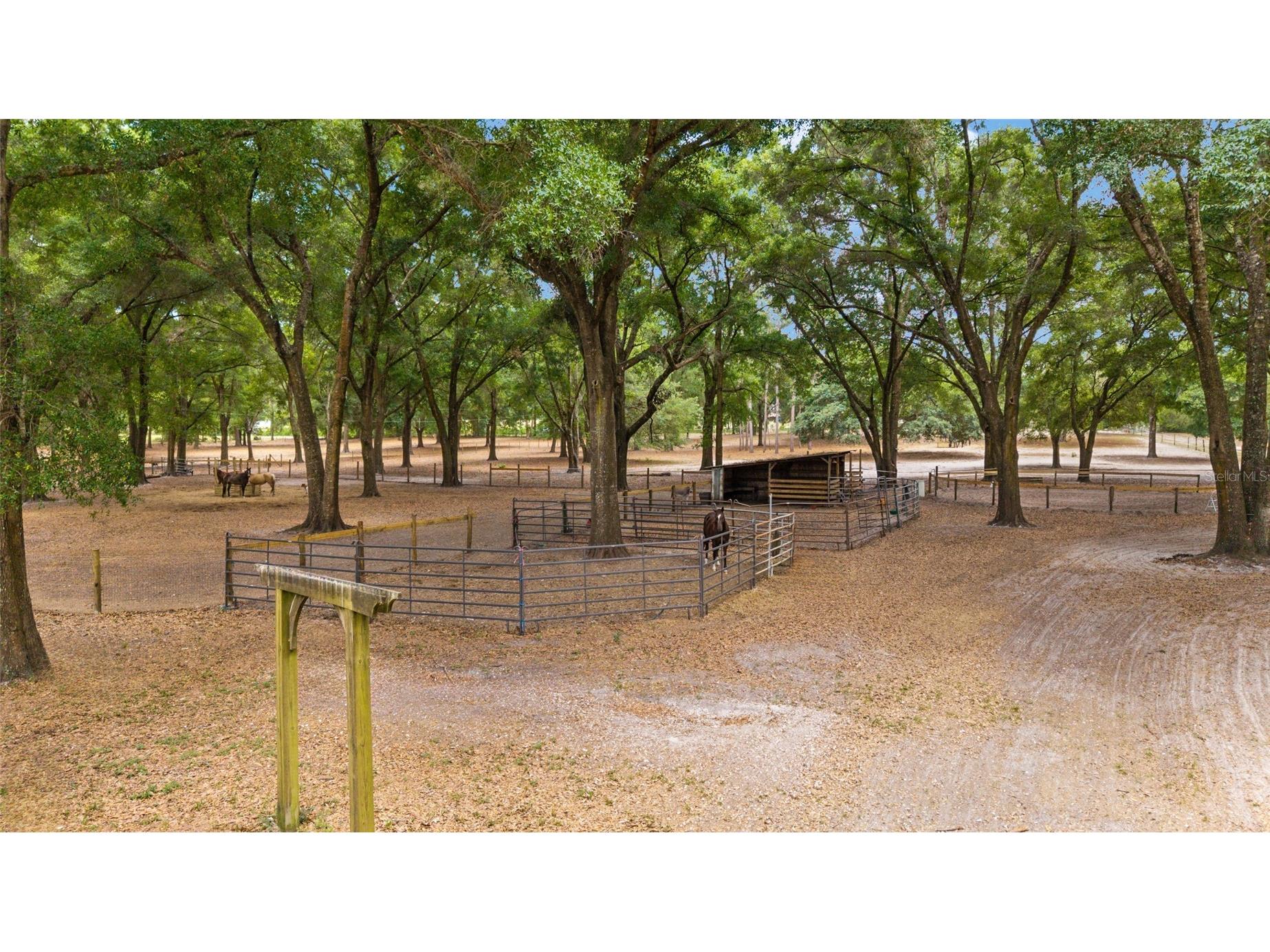 19551 SE 42nd Place Morriston FL 32668 OM724189 image43