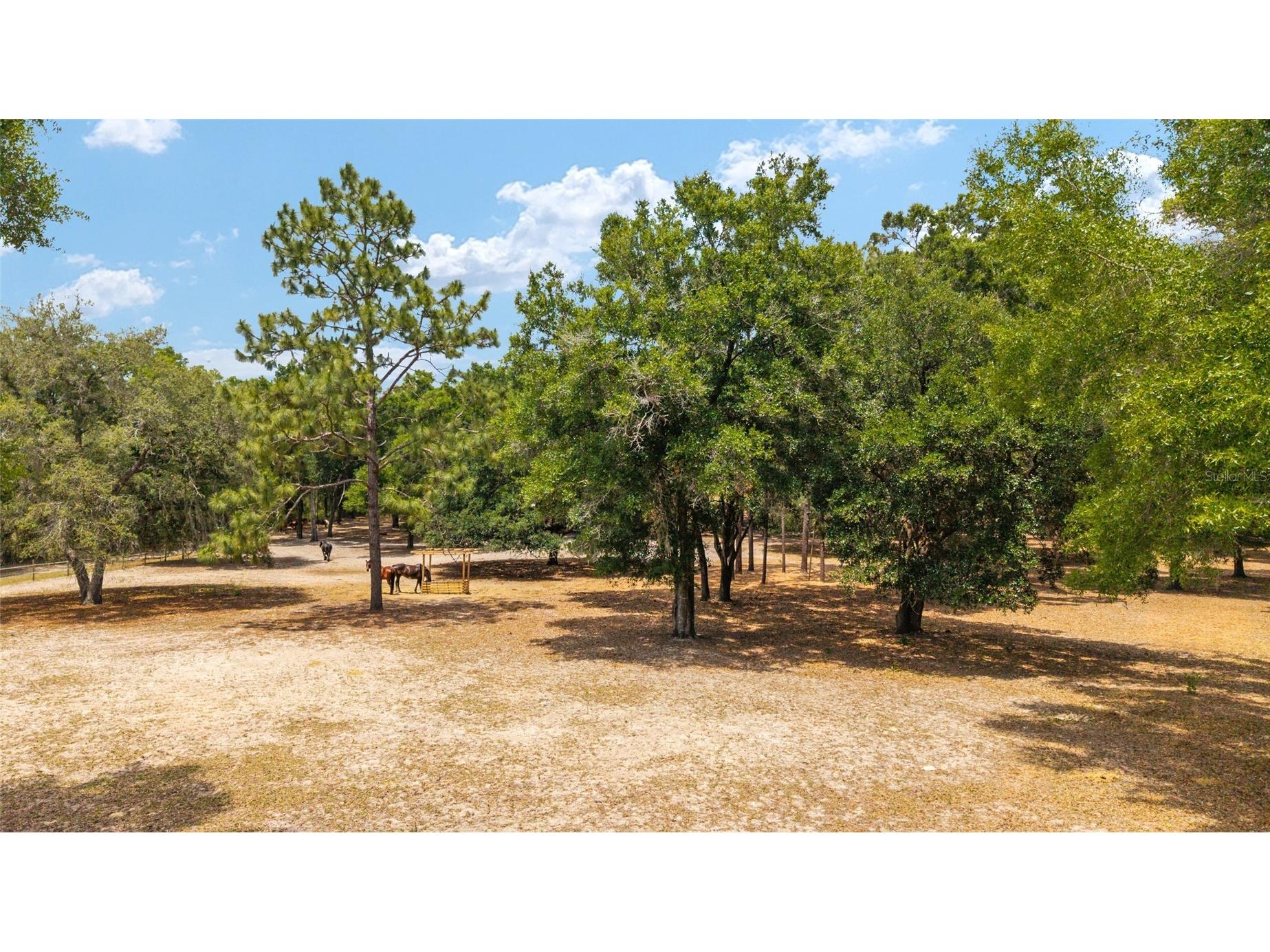 19551 SE 42nd Place Morriston FL 32668 OM724189 image44