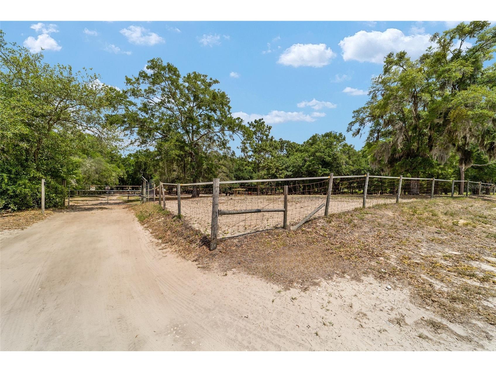19551 SE 42nd Place Morriston FL 32668 OM724189 image45