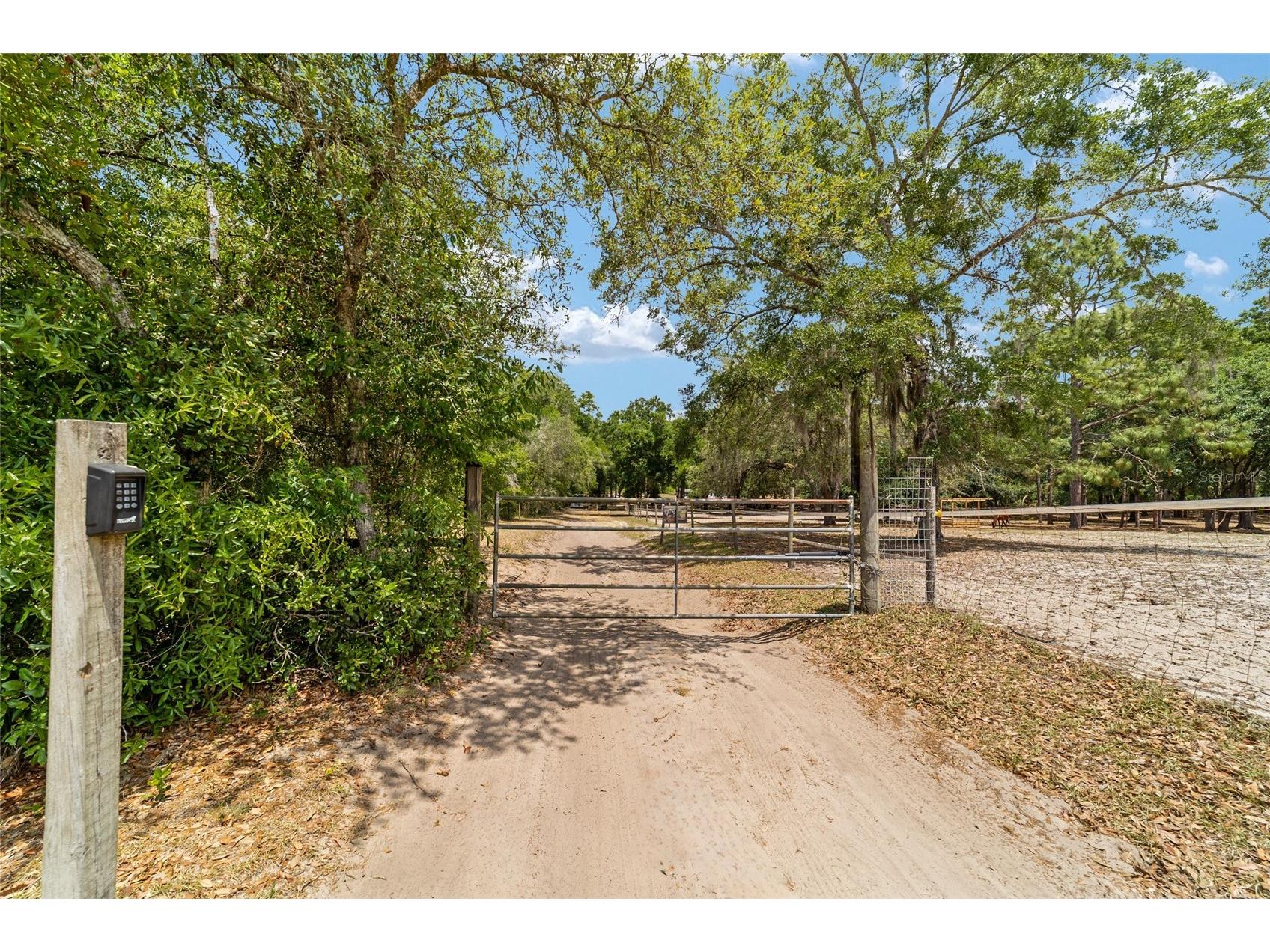 19551 SE 42nd Place Morriston FL 32668 OM724189 image46