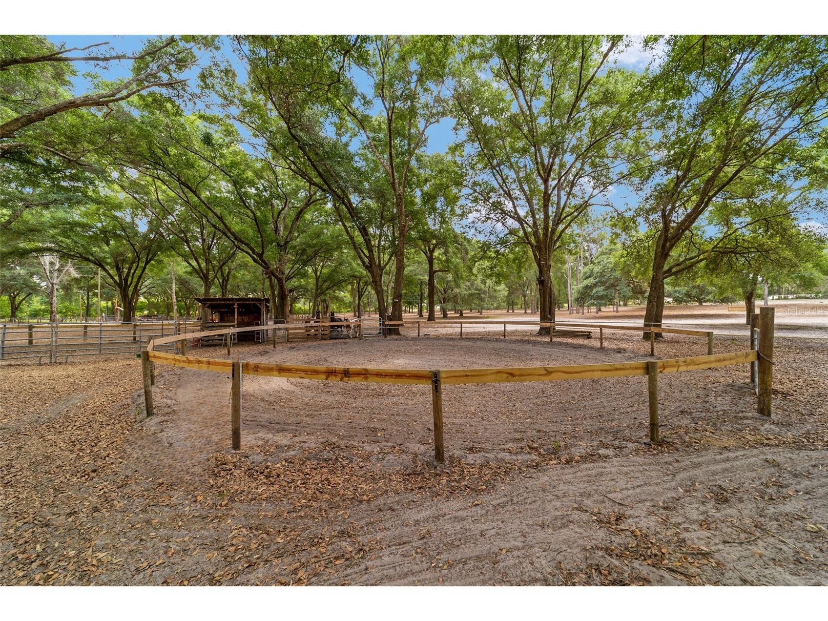 19551 SE 42nd Place Morriston FL 32668 OM724189 image48