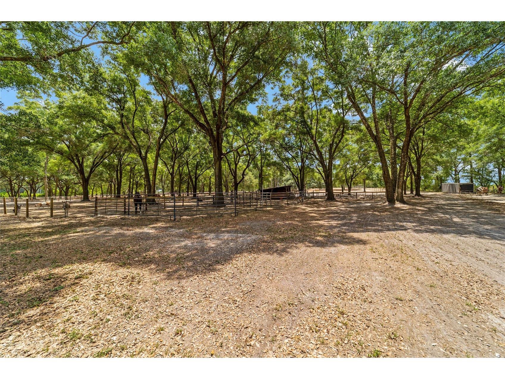 19551 SE 42nd Place Morriston FL 32668 OM724189 image52