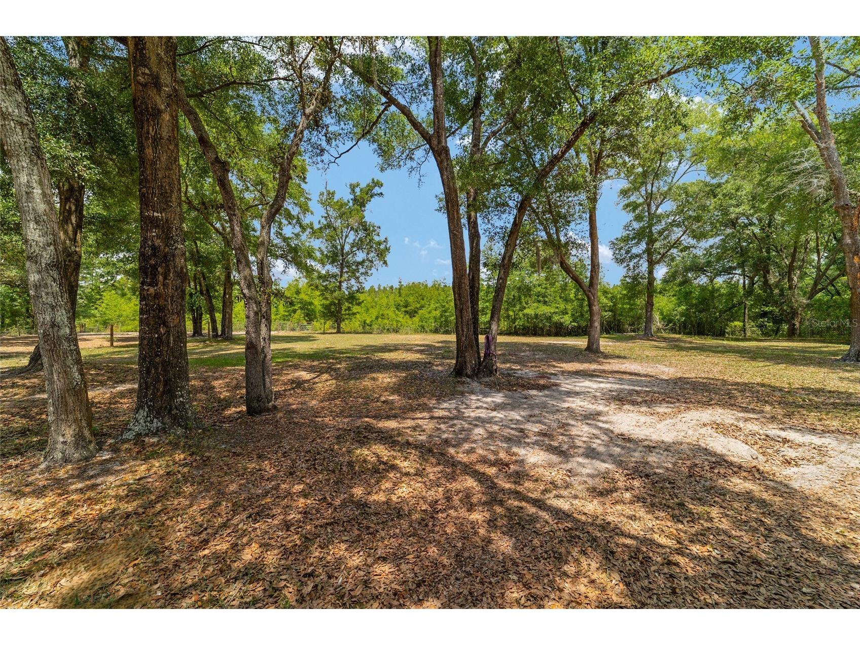 19551 SE 42nd Place Morriston FL 32668 OM724189 image54