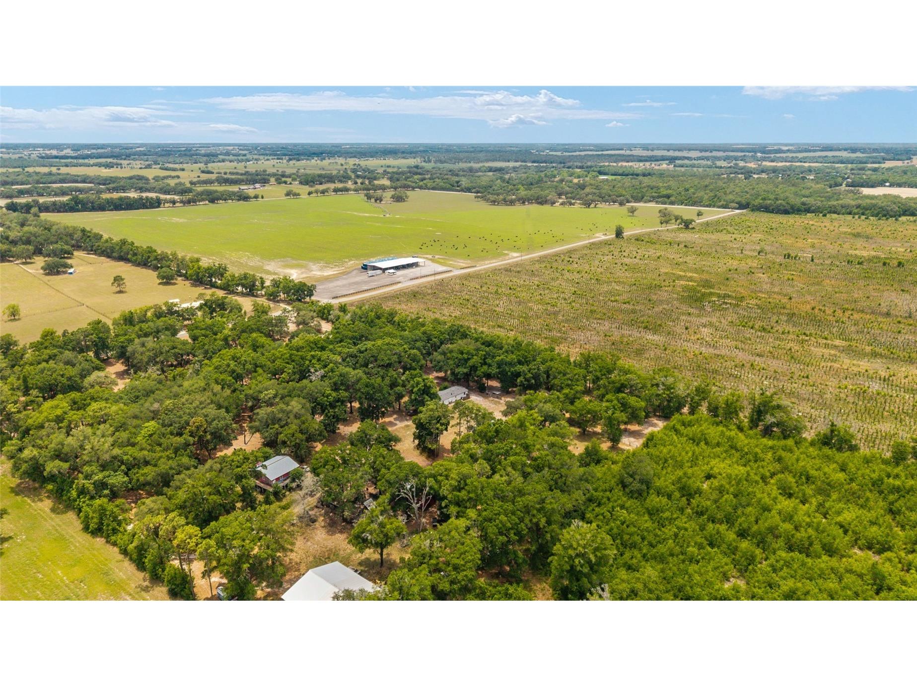 19551 SE 42nd Place Morriston FL 32668 OM724189 image61