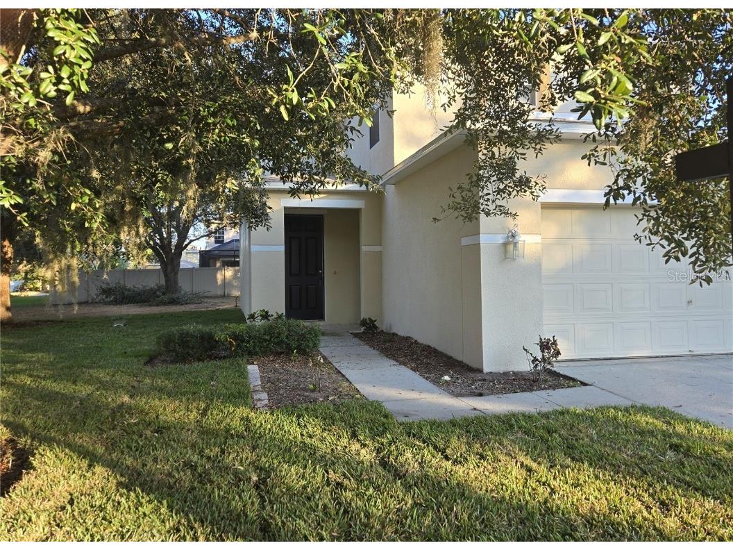 19551 Timberbluff Drive Land O Lakes FL 34638 W7875613 image2