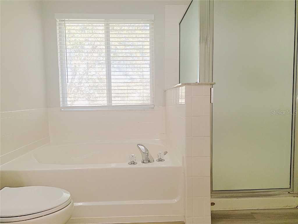 19551 Timberbluff Drive Land O Lakes FL 34638 W7875613 image21