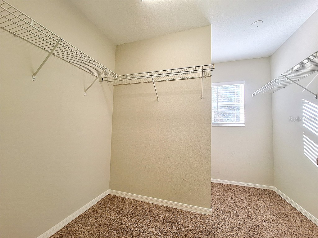 19551 Timberbluff Drive Land O Lakes FL 34638 W7875613 image22