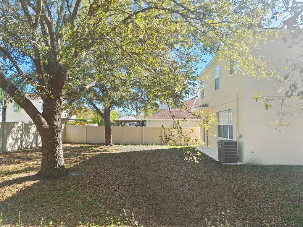 19551 Timberbluff Drive Land O Lakes FL 34638 W7875613 image25