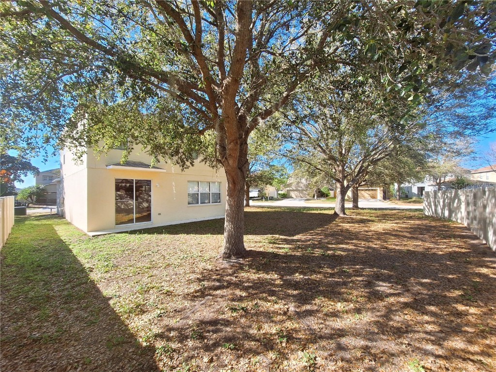 19551 Timberbluff Drive Land O Lakes FL 34638 W7875613 image28