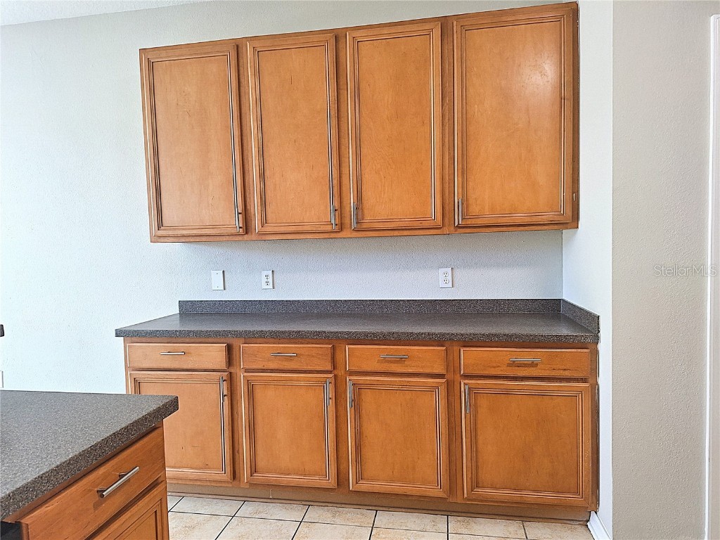 19551 Timberbluff Drive Land O Lakes FL 34638 W7875613 image9