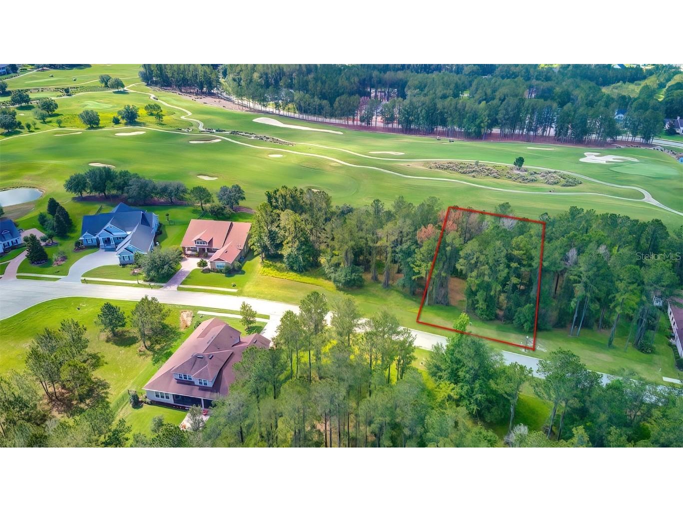 19554 Autumn Oak Lane Brooksville FL 34601 W7854901 image1