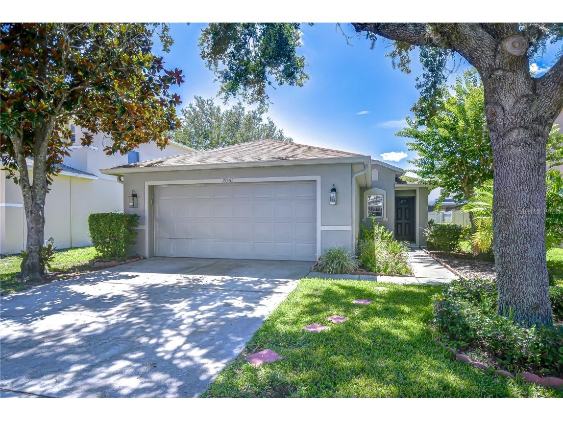 19555 Timberbluff Drive Land O Lakes FL 34638 TB8398773 image1