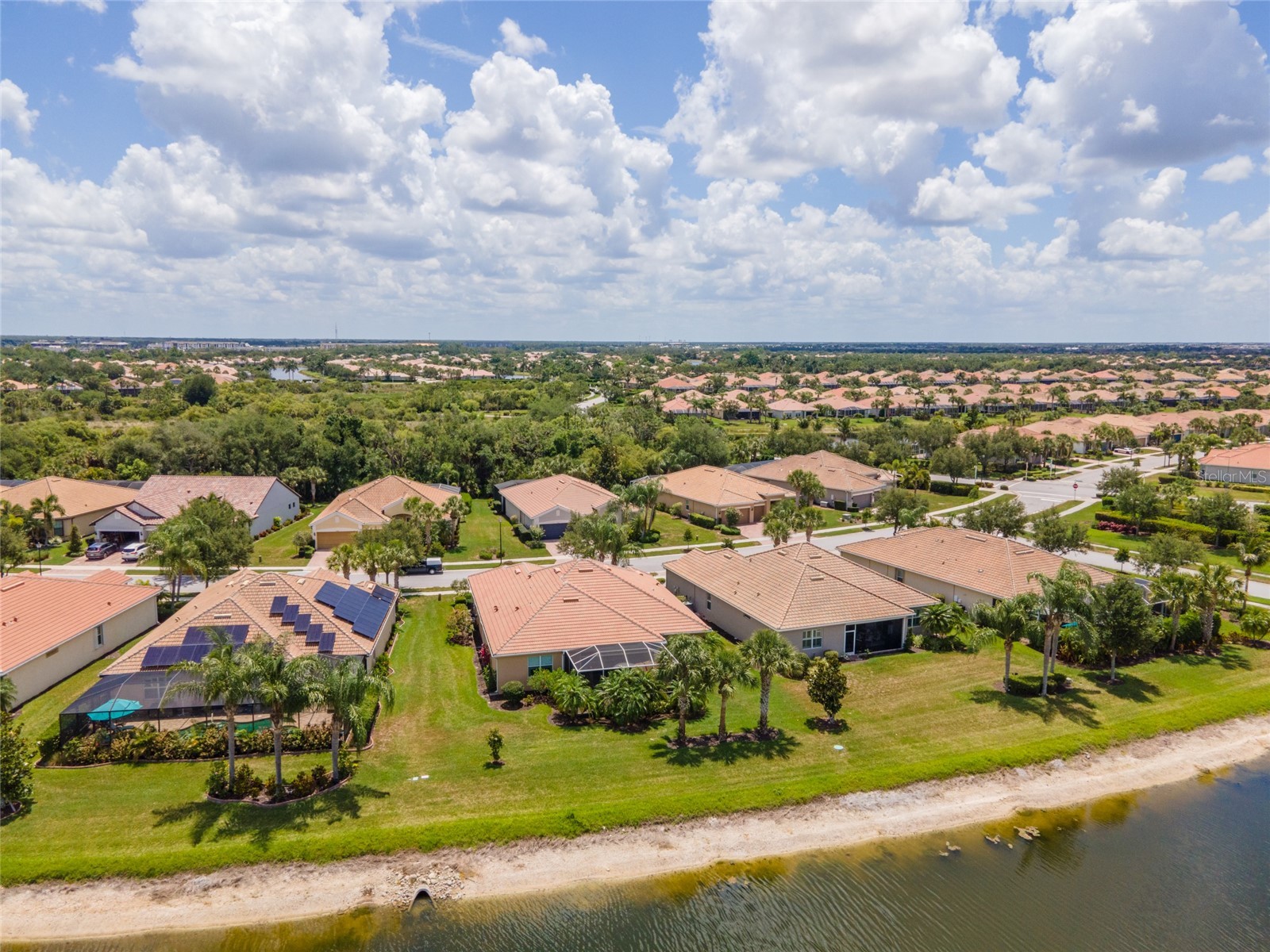 19557 Petrino Street Venice FL 34293 D6147482 image54