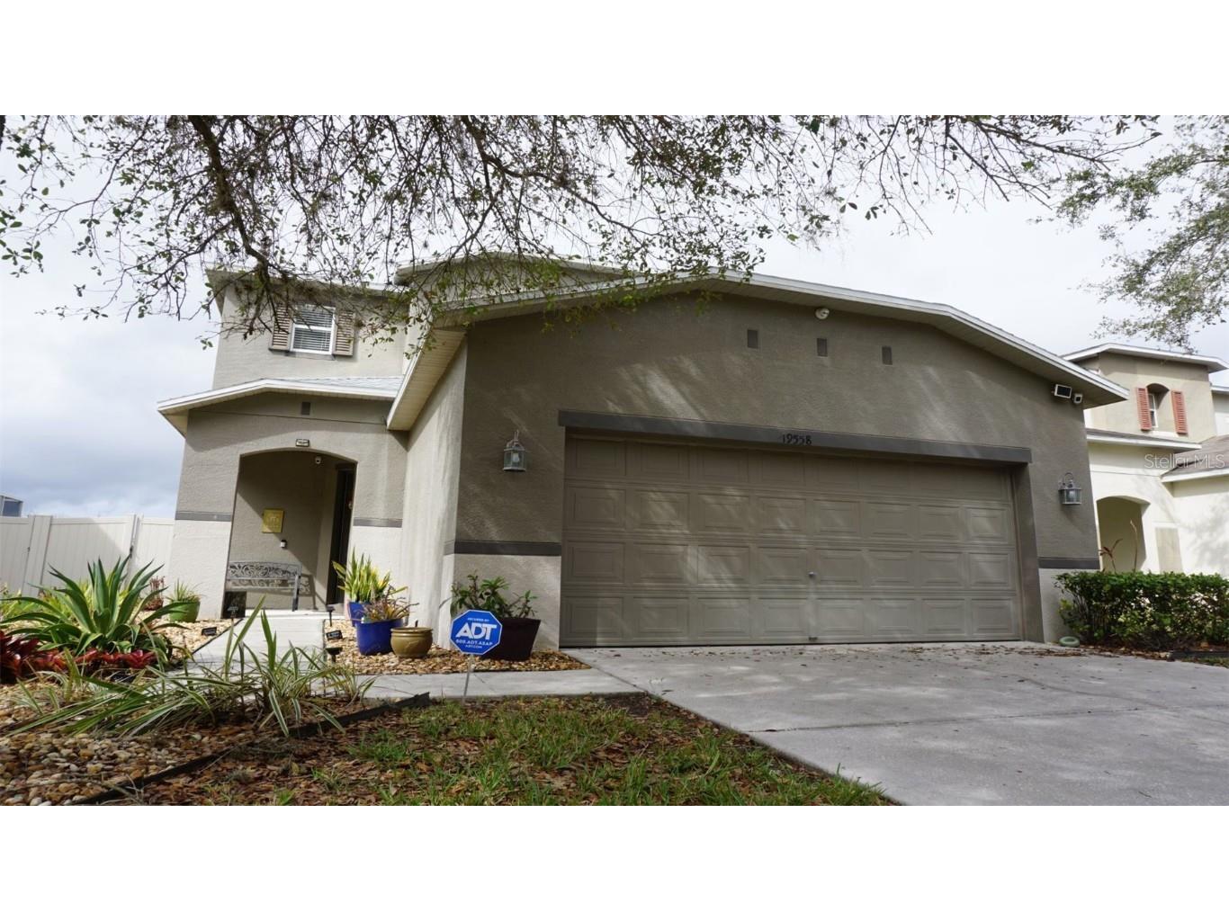 19558 Timberbluff Drive Land O Lakes FL 34638 U8190578 image1