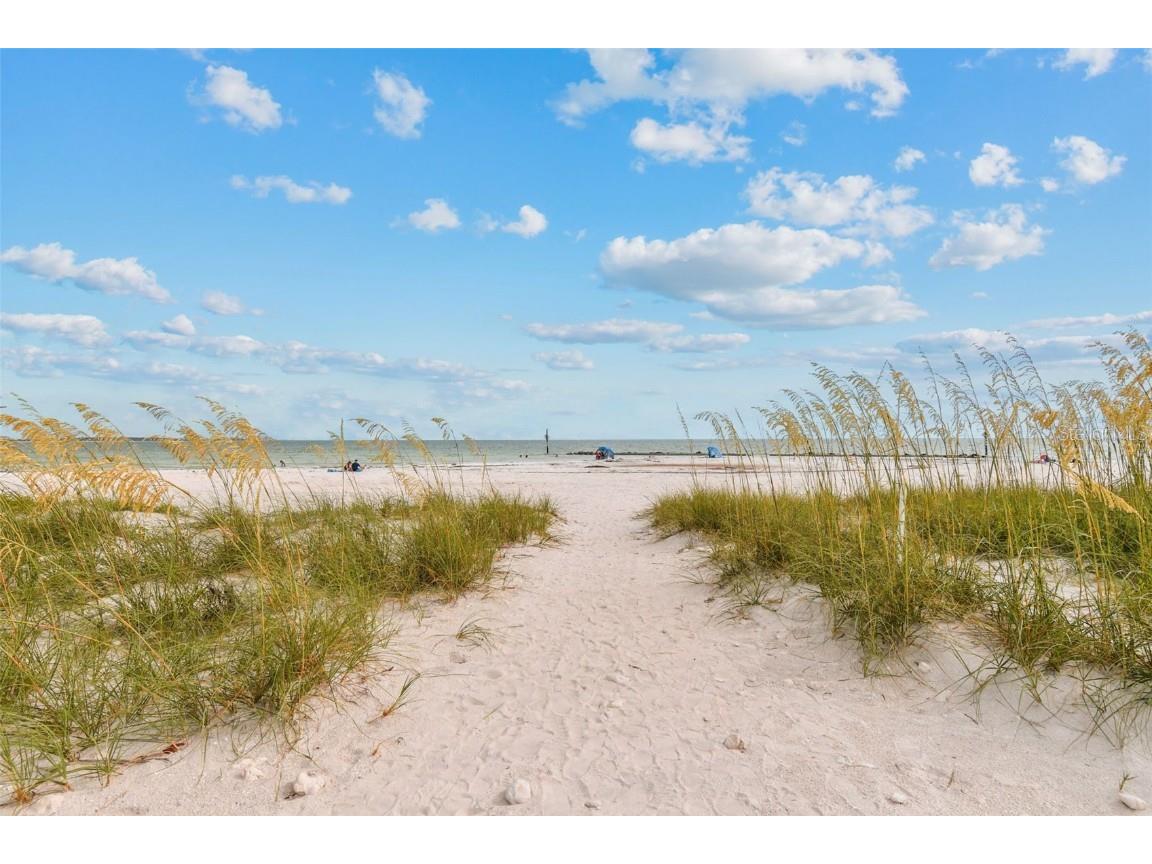 1956 Cedar Drive Dunedin FL 34698 - GULF TB8450485 image39