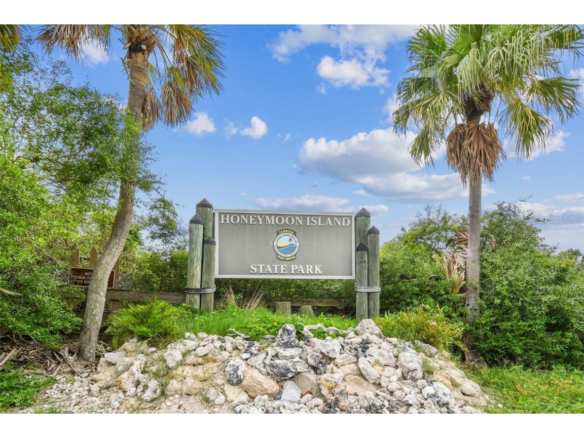 1956 Cedar Drive Dunedin FL 34698 - GULF TB8450485 image40