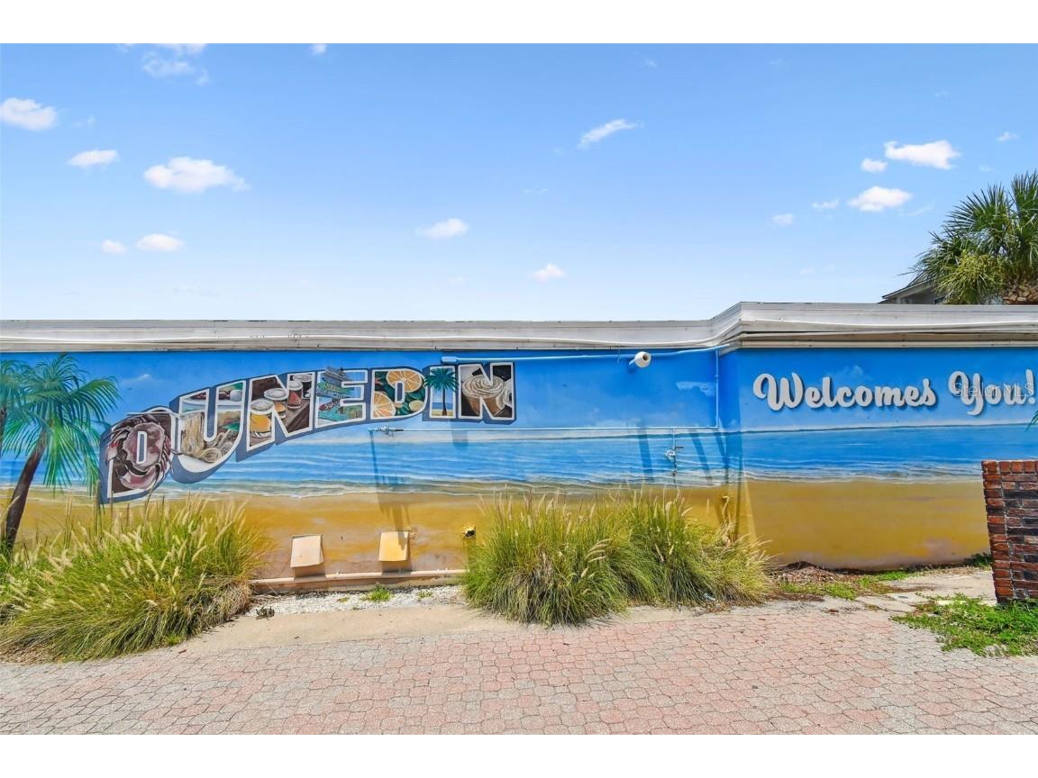 1956 Cedar Drive Dunedin FL 34698 - GULF TB8450485 image42