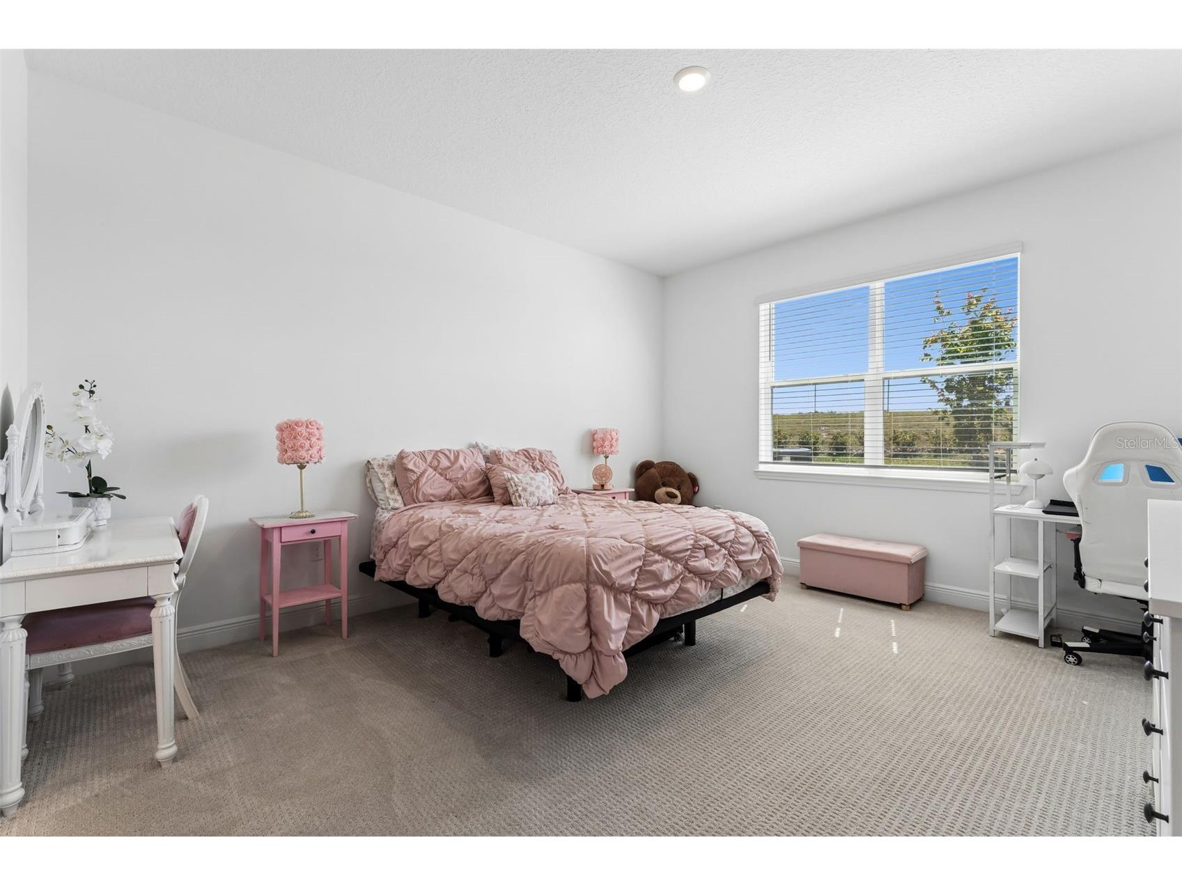 1956 Sunshine Peak Drive Minneola FL 34715 O6401942 image20