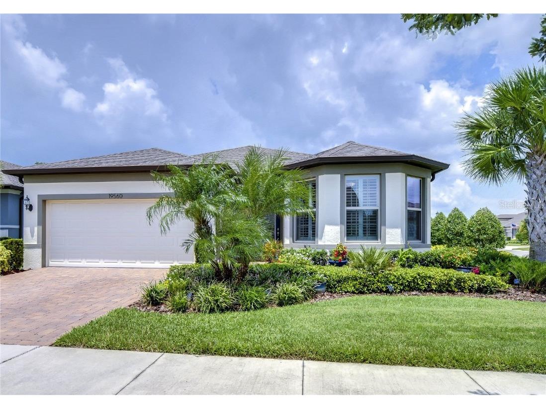 19560 Coastal Shore Terrace Land O Lakes FL 34638 T3548699 image1