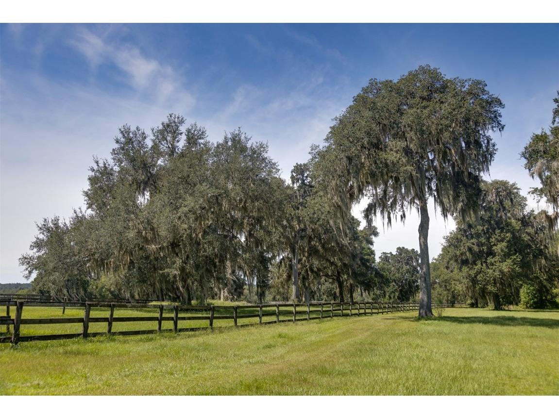 19560 NW 123rd Court Micanopy FL 32667 OM665059 image1