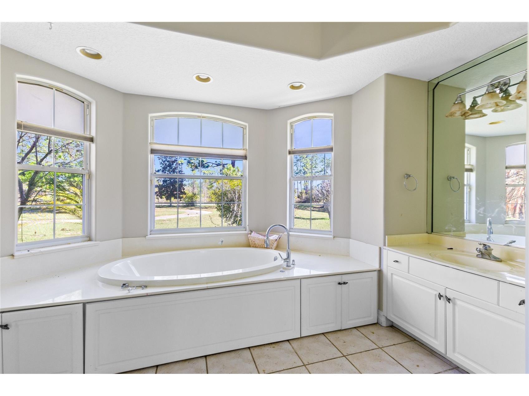 19562 Majestic Street Orlando FL 32833 O6387550 image14