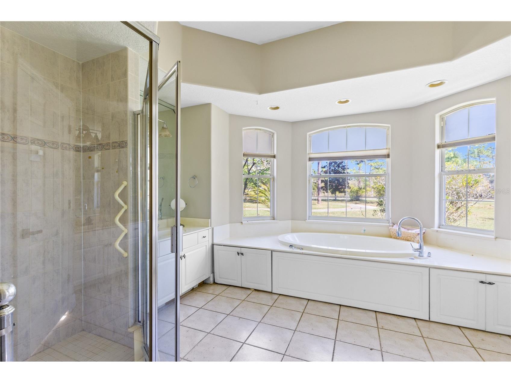 19562 Majestic Street Orlando FL 32833 O6387550 image15