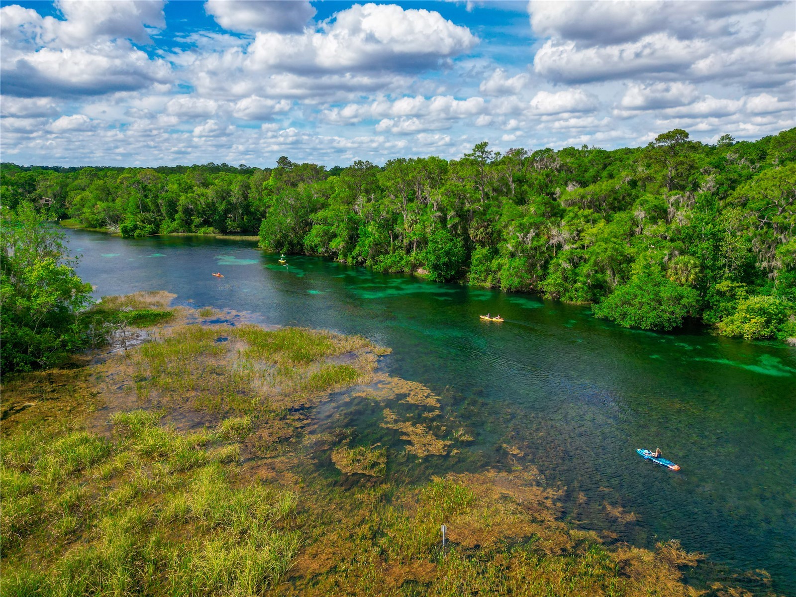 19562 SW 84th Place Dunnellon FL 34432 - RAINBOW SPRINGS GC539186 image38