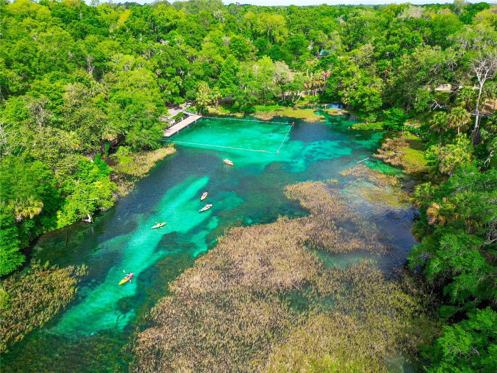 19562 SW 84th Place Dunnellon FL 34432 - RAINBOW SPRINGS GC539186 image39