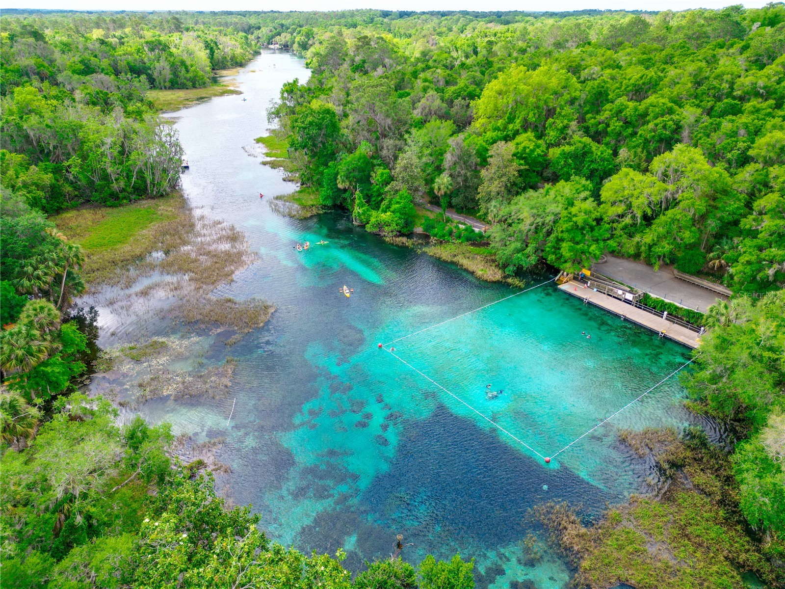19562 SW 84th Place Dunnellon FL 34432 - RAINBOW SPRINGS GC539186 image40