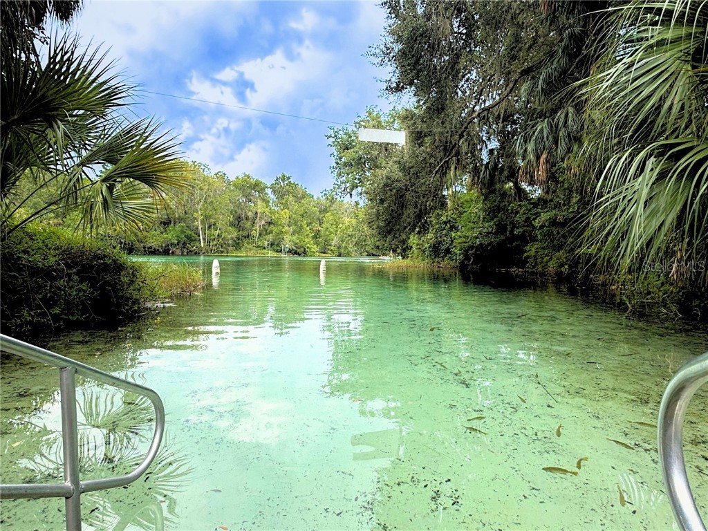 19569 SW 77th Place Dunnellon FL 34432 OM707846 image45