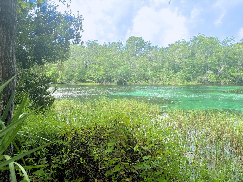 19569 SW 77th Place Dunnellon FL 34432 OM707846 image47