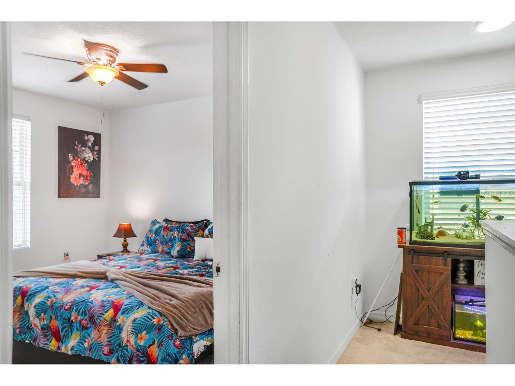 1957 Red Canyon Drive Kissimmee FL 34744 O6409138 image47