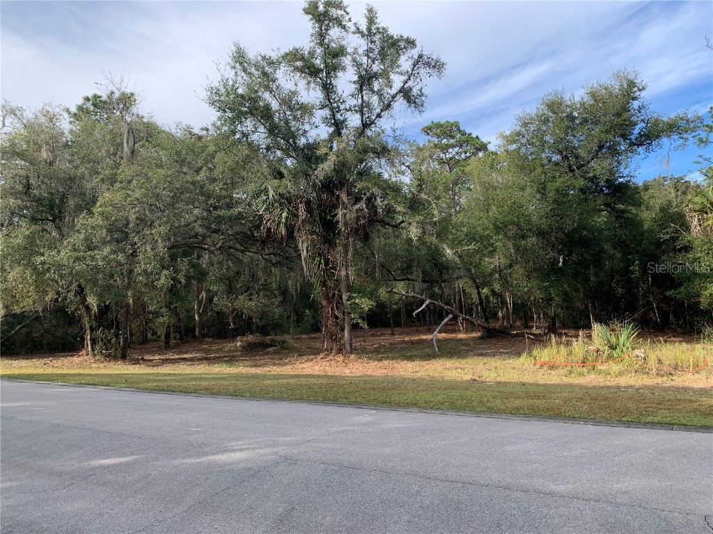 1957 S Farm Road Deland FL 32720 V4921792 image1