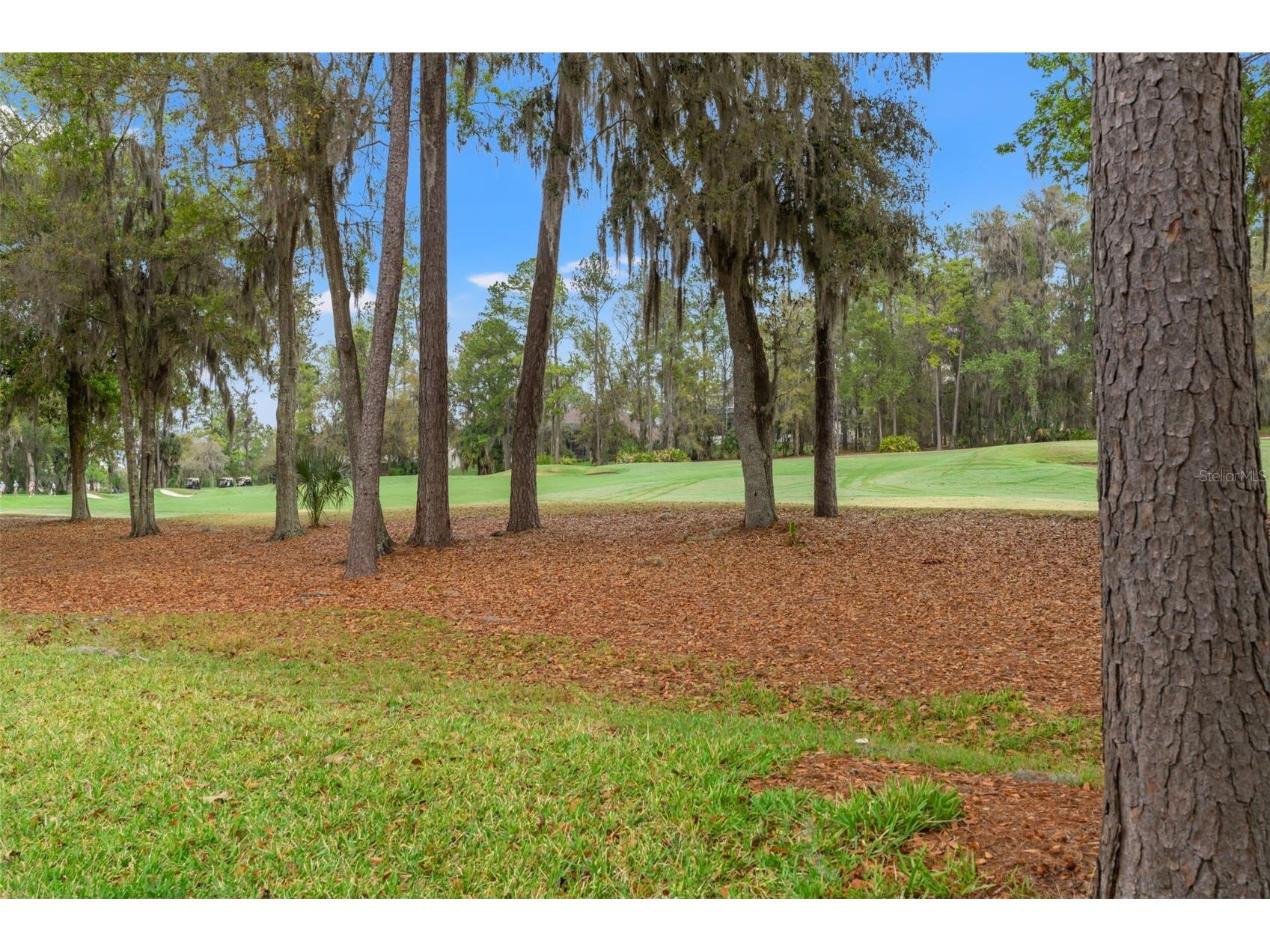 19571 Lily Pond Court Brooksville FL 34601 W7883386 image61
