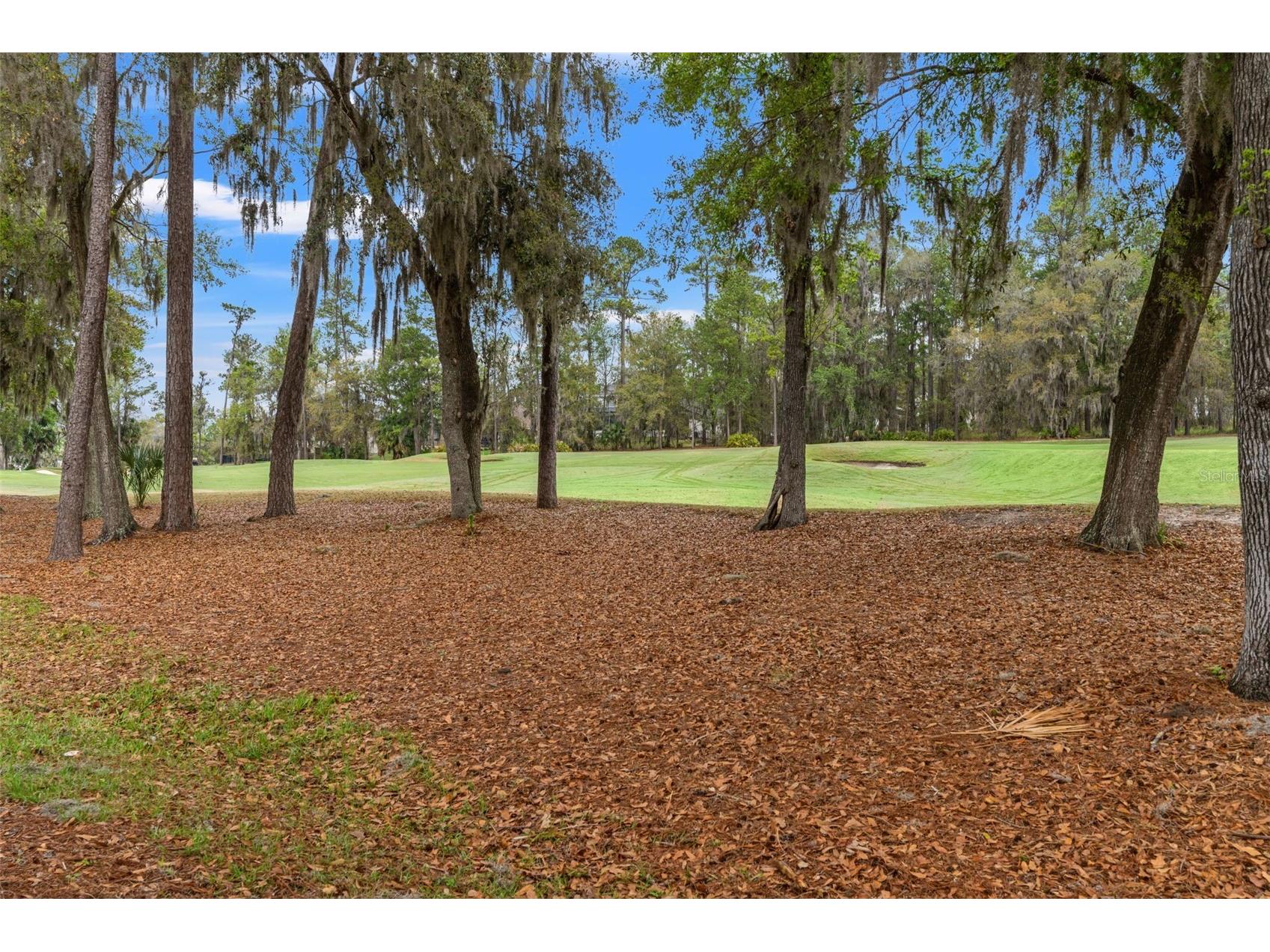 19571 Lily Pond Court Brooksville FL 34601 W7883386 image62
