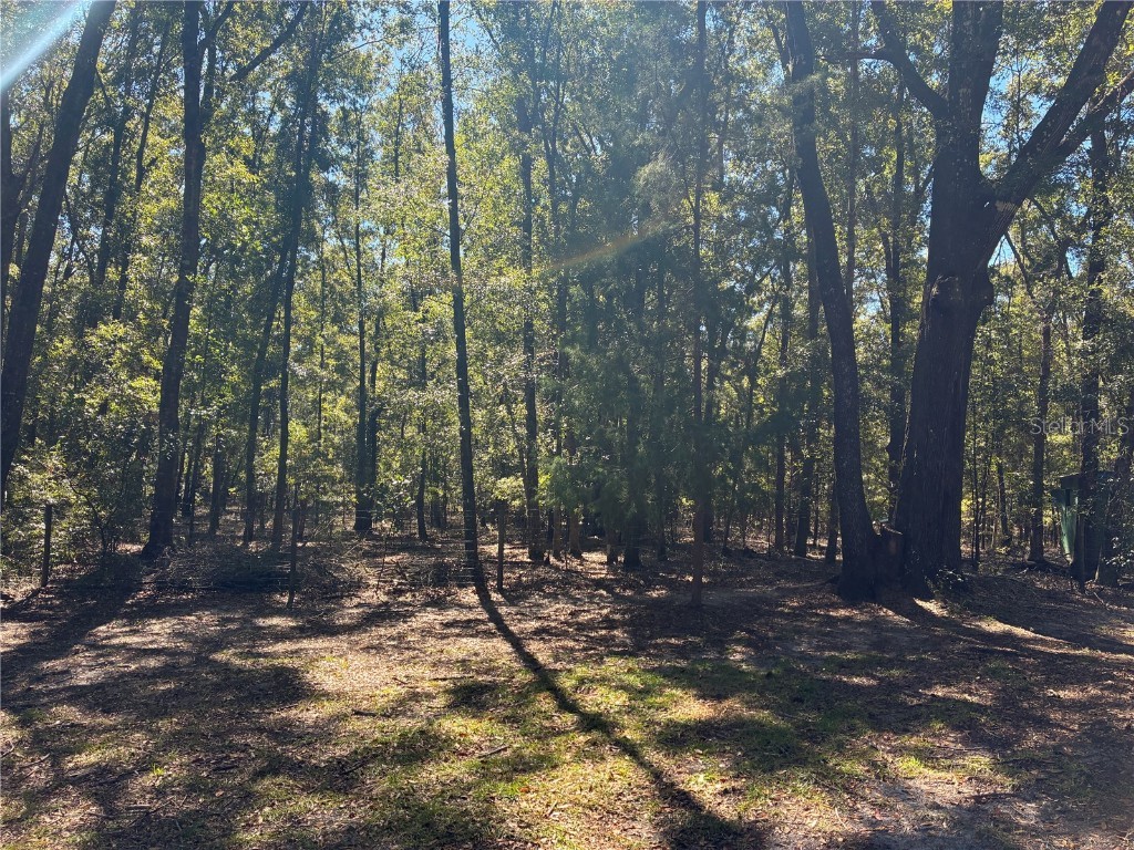 19582 NW 212th Street High Springs FL 32643 GC535056 image21