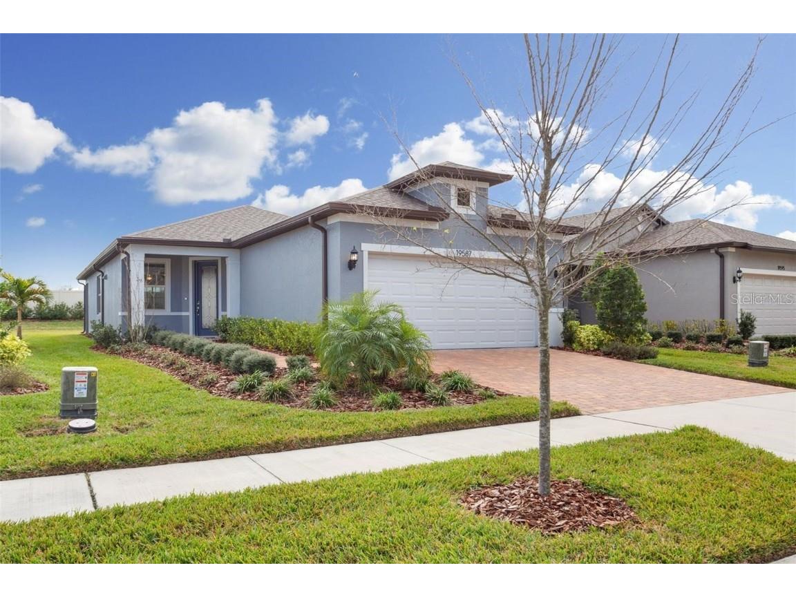 19587 Ship Wheel Way Land O Lakes FL 34638 T3454202 image1