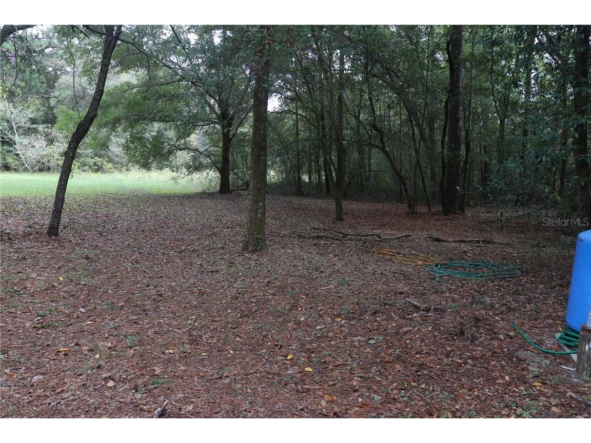 19591 SE 77th Place Morriston FL 32668 OM711186 image15